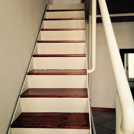 Casa Della Musica Daire